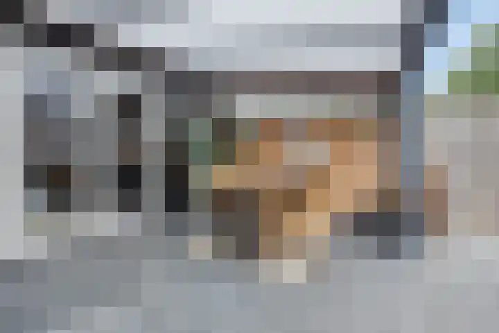 Mathilde Wibautsingel 69 Emmeloord thumbnail 29