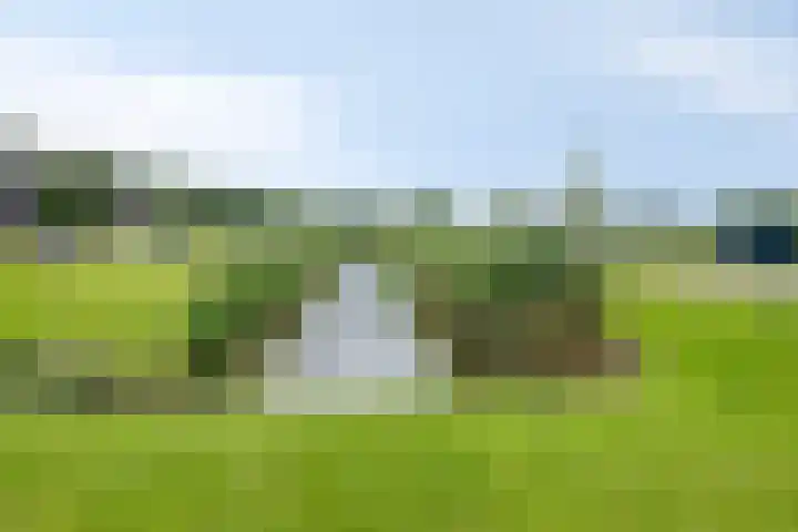Mathilde Wibautsingel 69 Emmeloord thumbnail 33