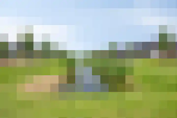 Mathilde Wibautsingel 69 Emmeloord thumbnail 34