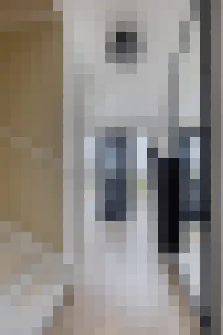 Mathilde Wibautsingel 69 Emmeloord thumbnail 4
