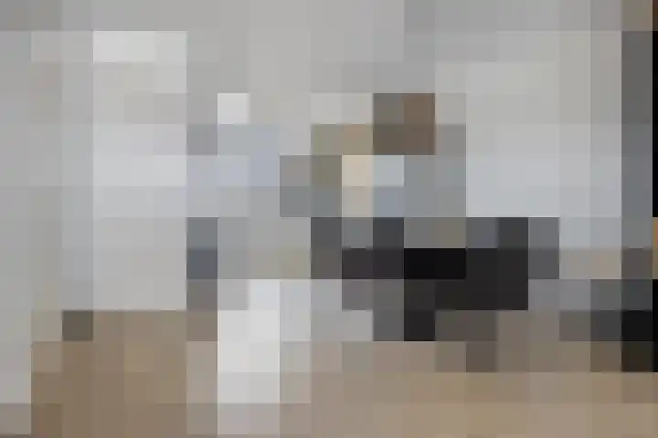 Mathilde Wibautsingel 69 Emmeloord thumbnail 9