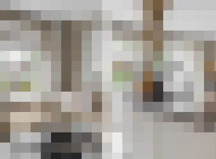 Matjador 98 Wervershoof thumbnail 10