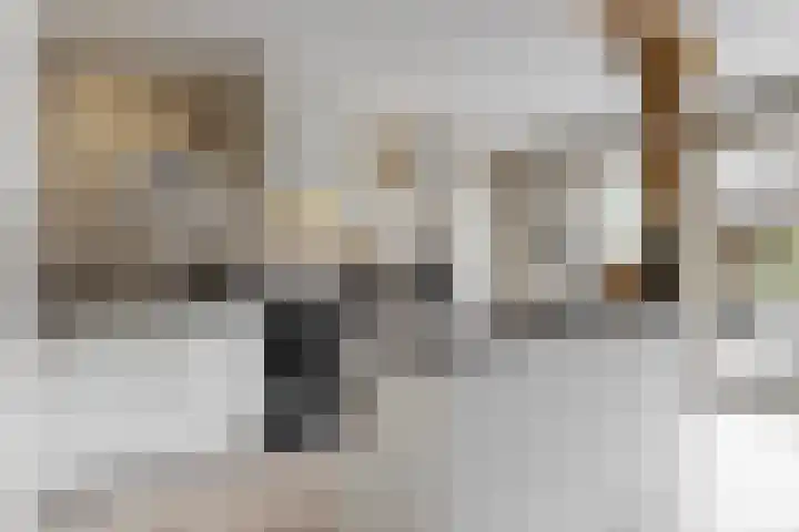 Matjador 98 Wervershoof thumbnail 13