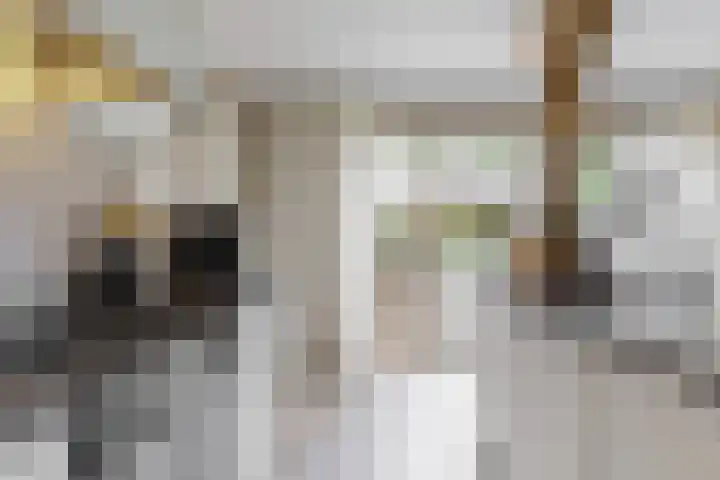 Matjador 98 Wervershoof thumbnail 14