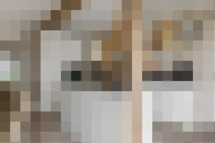 Matjador 98 Wervershoof thumbnail 15