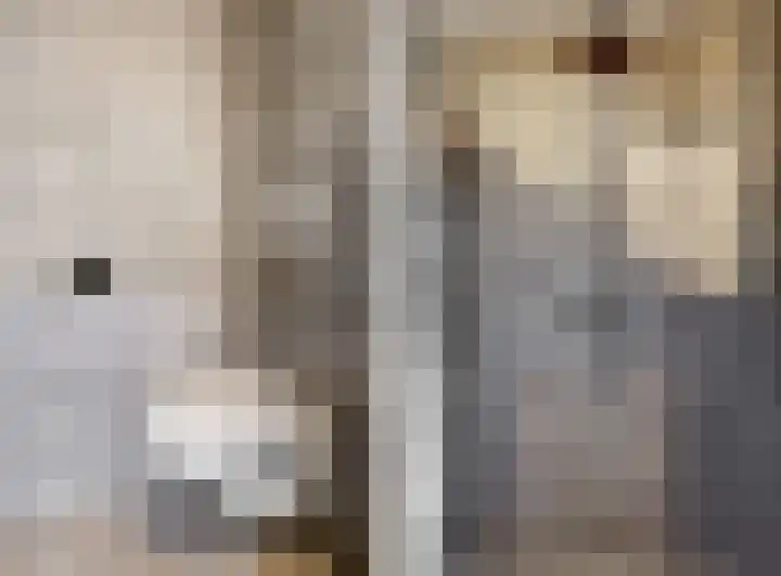 Matjador 98 Wervershoof thumbnail 24