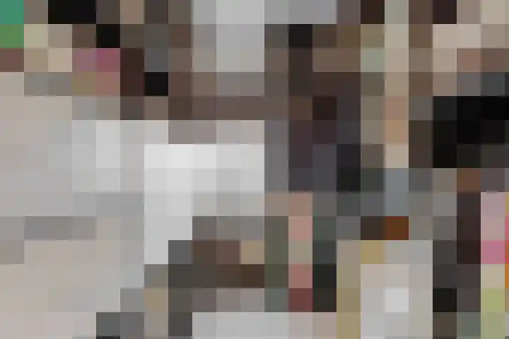 Matjador 98 Wervershoof thumbnail 31
