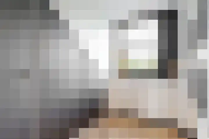 Matjador 98 Wervershoof thumbnail 32