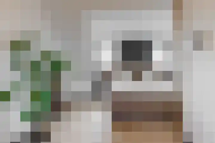 Matjador 98 Wervershoof thumbnail 33