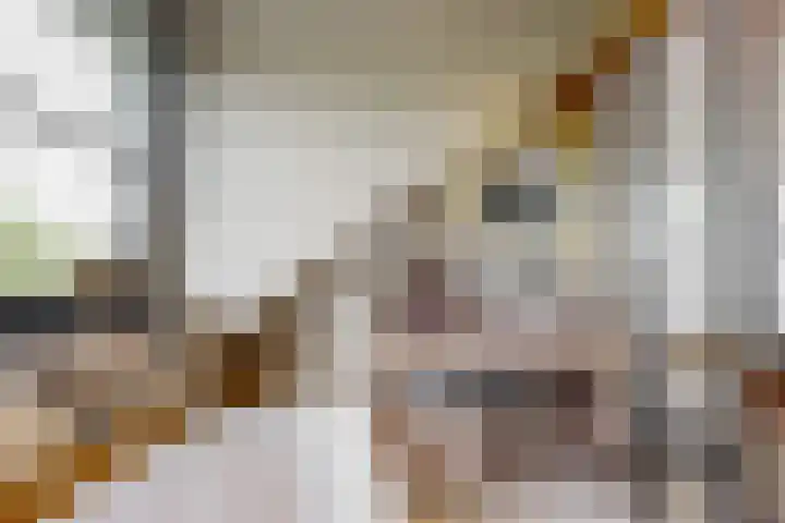 Matjador 98 Wervershoof thumbnail 36