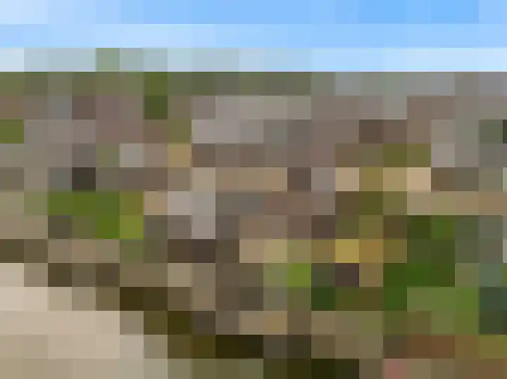 Matjador 98 Wervershoof thumbnail 4