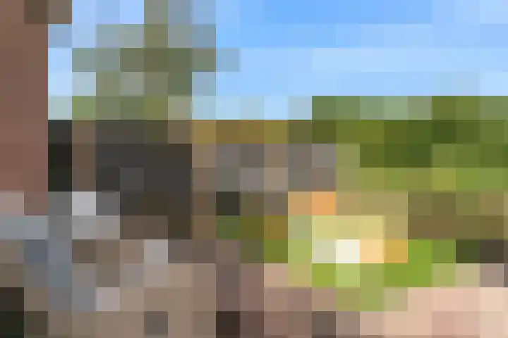 Matjador 98 Wervershoof thumbnail 40