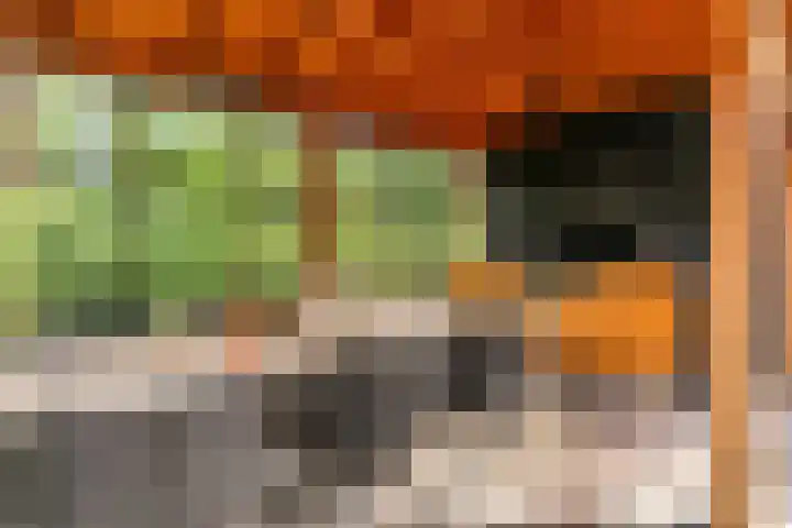 Matjador 98 Wervershoof thumbnail 45