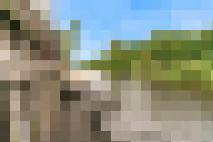 Matjador 98 Wervershoof thumbnail 48