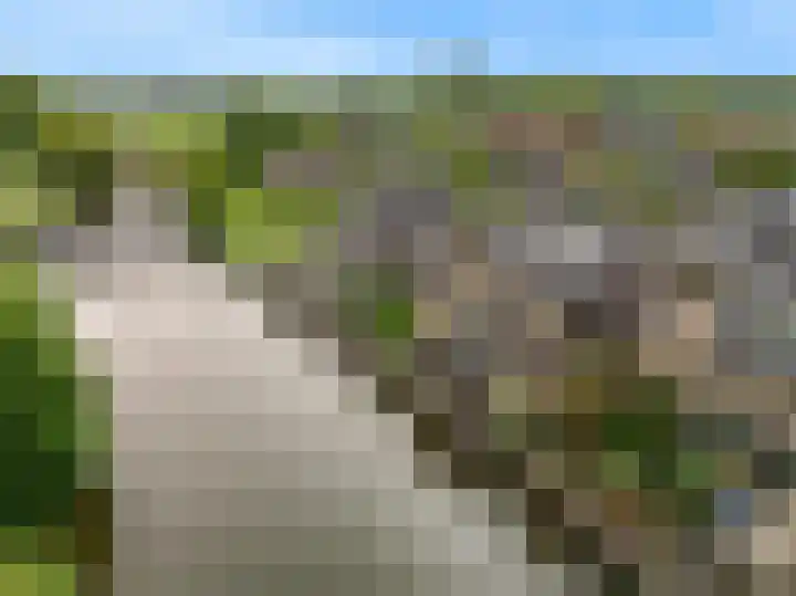 Matjador 98 Wervershoof thumbnail 49