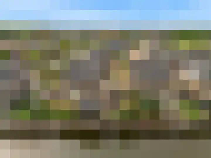 Matjador 98 Wervershoof thumbnail 50