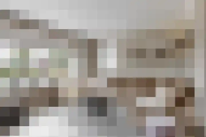 Matjador 98 Wervershoof thumbnail 9