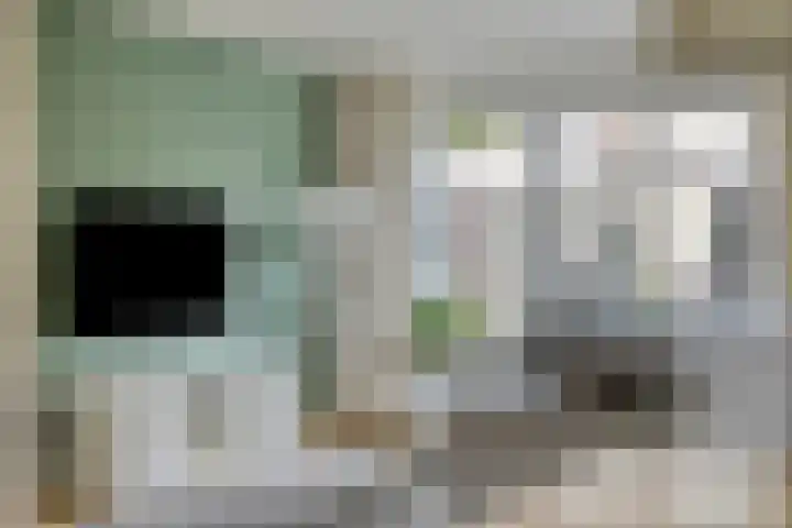 Mattenbies 12 Terheijden thumbnail 10