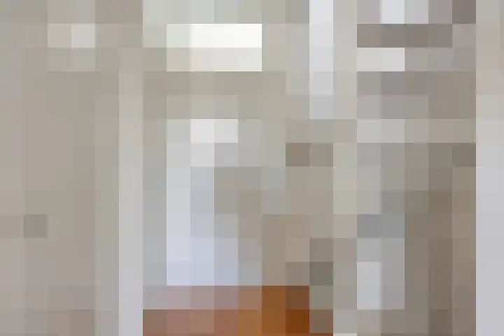 Mattenbies 12 Terheijden thumbnail 17
