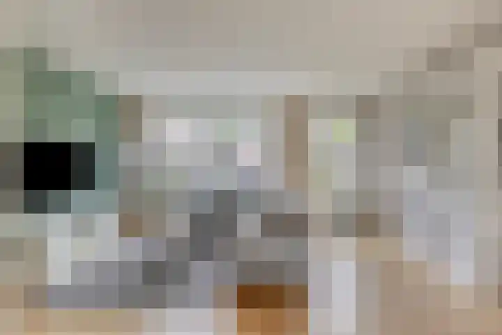 Mattenbies 12 Terheijden foto 2
