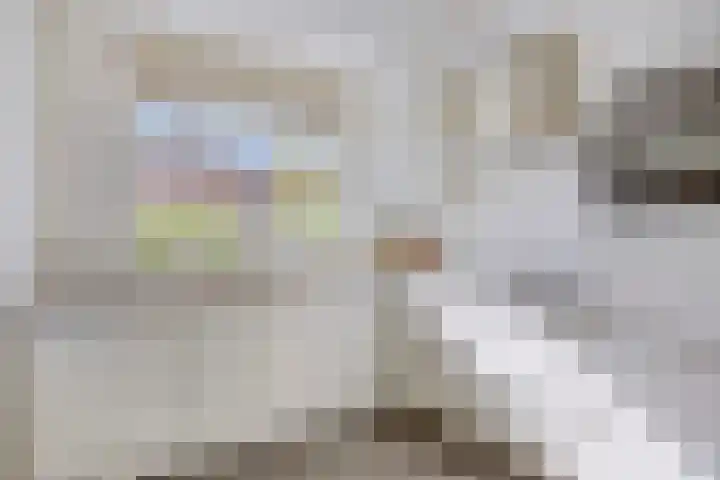 Mattenbies 12 Terheijden foto 3