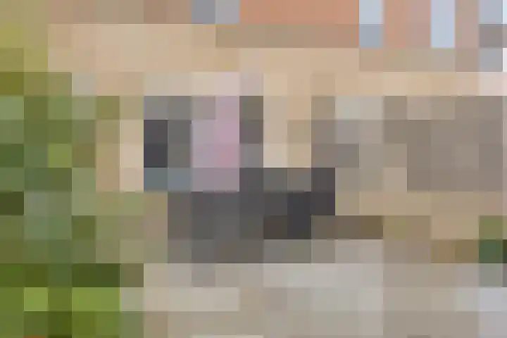 Mattenbies 12 Terheijden thumbnail 32