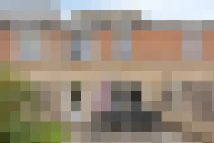 Mattenbies 12 Terheijden thumbnail 5