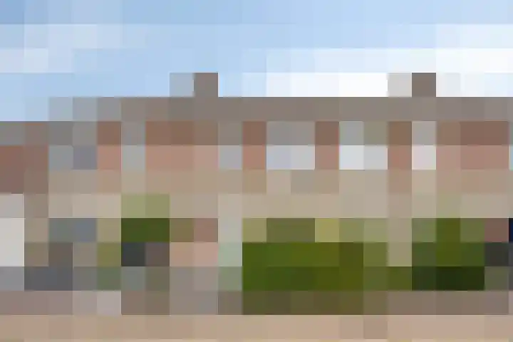 Mattenbies 12 Terheijden thumbnail 6