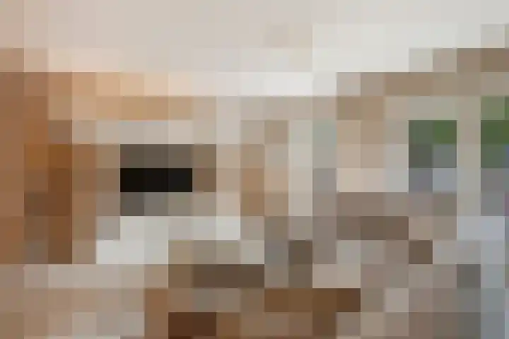 Mattenbiesstraat 64 Rotterdam thumbnail 5