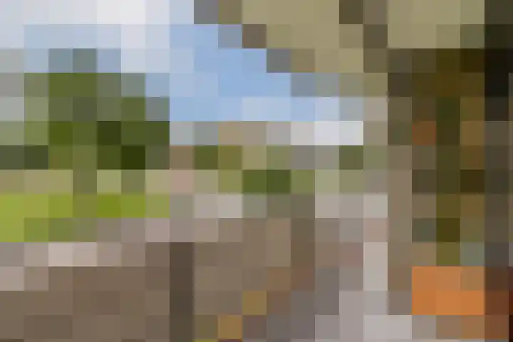 Matterhorn 10 Amstelveen thumbnail 15