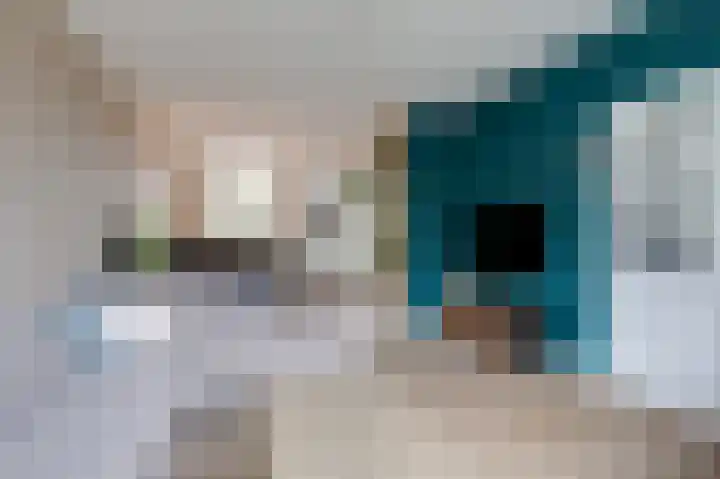 Mauritiusstraat 5 Rheden thumbnail 9