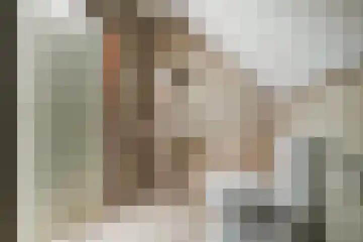 Mauritshoek 40 Ridderkerk thumbnail 48