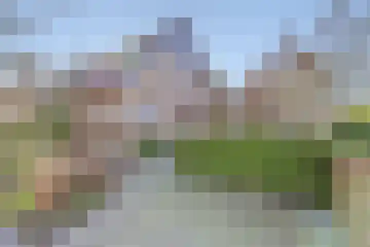 Mauritshoek 40 Ridderkerk thumbnail 8
