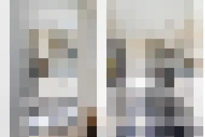 Mauritshoek 7 Ridderkerk thumbnail 10