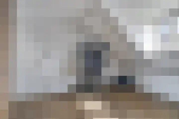 Mauritshoek 7 Ridderkerk thumbnail 20