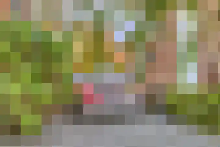 Mauritshoek 7 Ridderkerk thumbnail 20