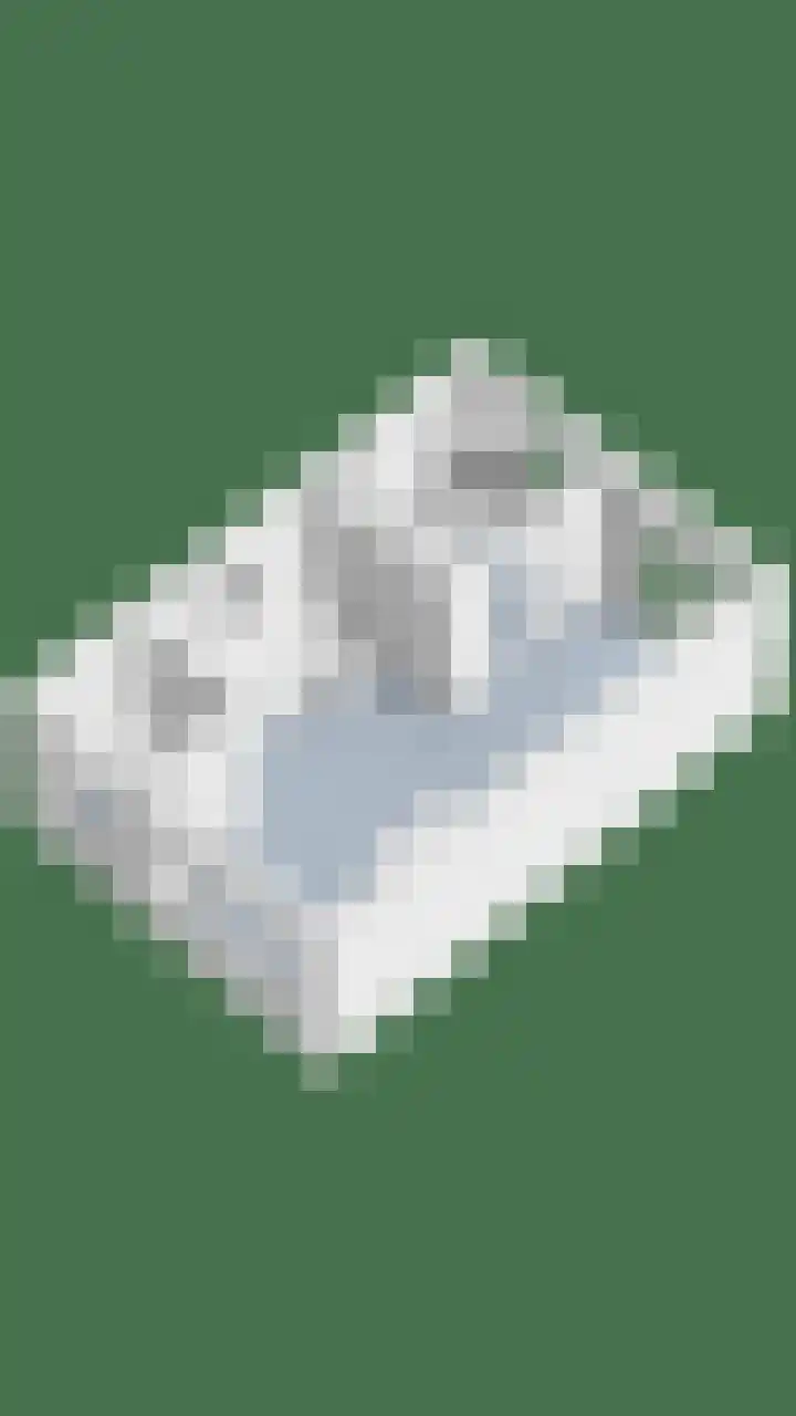 Mauritshoek 7 Ridderkerk thumbnail 28