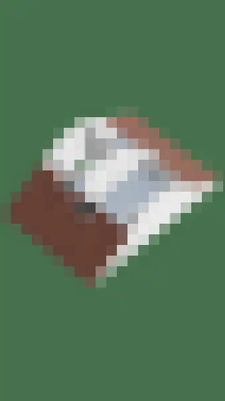 Mauritshoek 7 Ridderkerk thumbnail 30