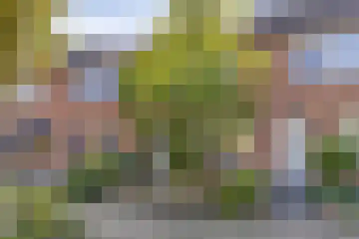Mauritshoek 7 Ridderkerk thumbnail 32