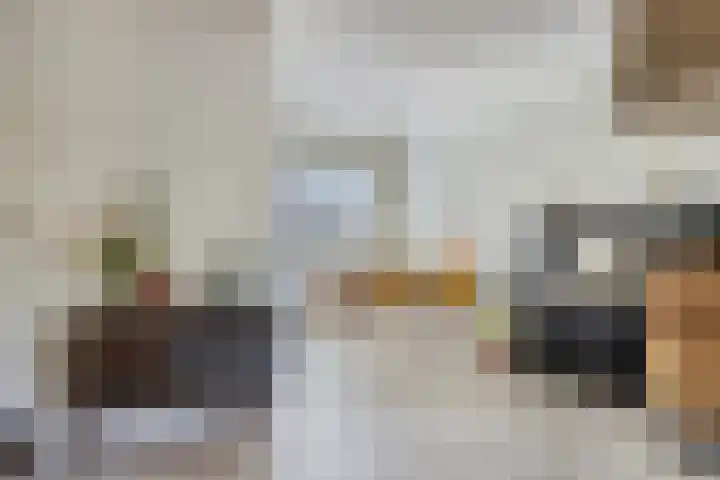 Mauritshoek 7 Ridderkerk thumbnail 8