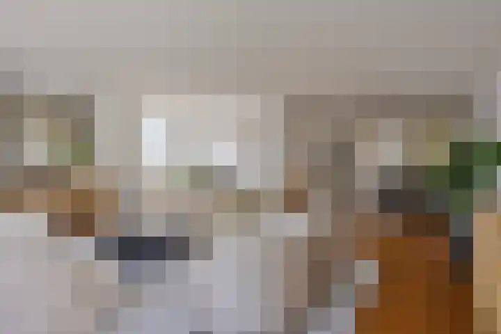 Mauritshoek 7 Ridderkerk thumbnail 9