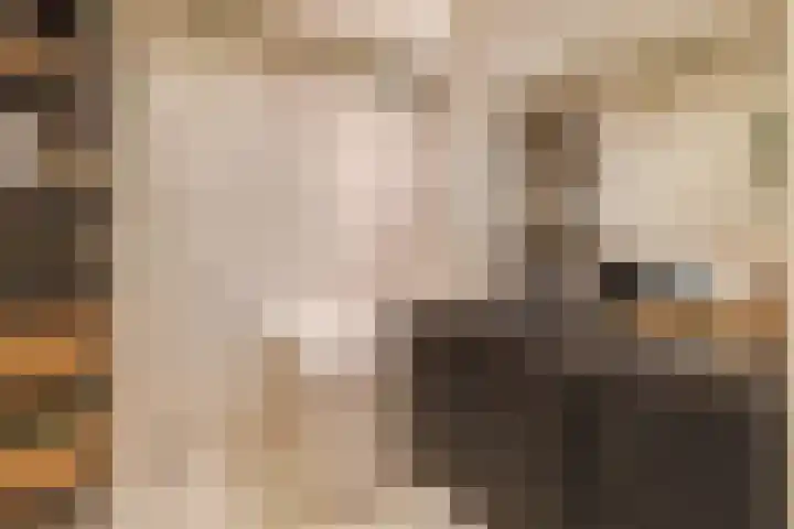 Mauritslaan 2 Urmond thumbnail 25