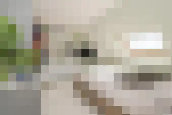 Mauritslaan 2 Urmond thumbnail 5