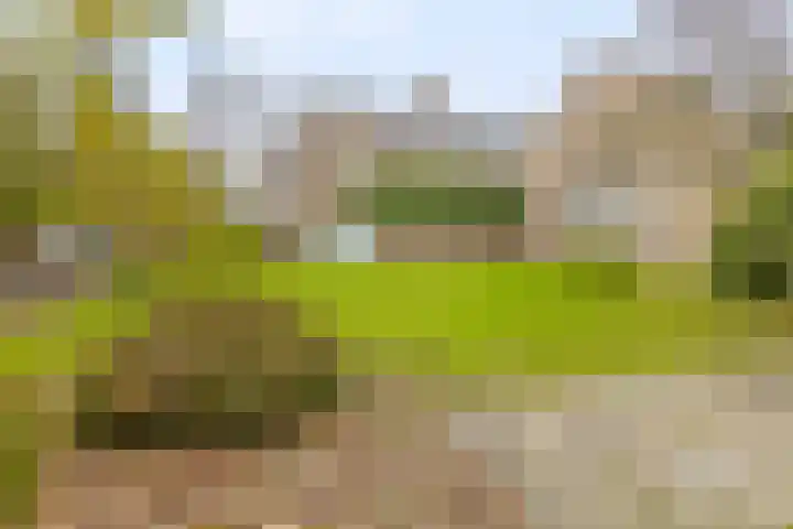 Mauritslaan 23 Geleen thumbnail 40