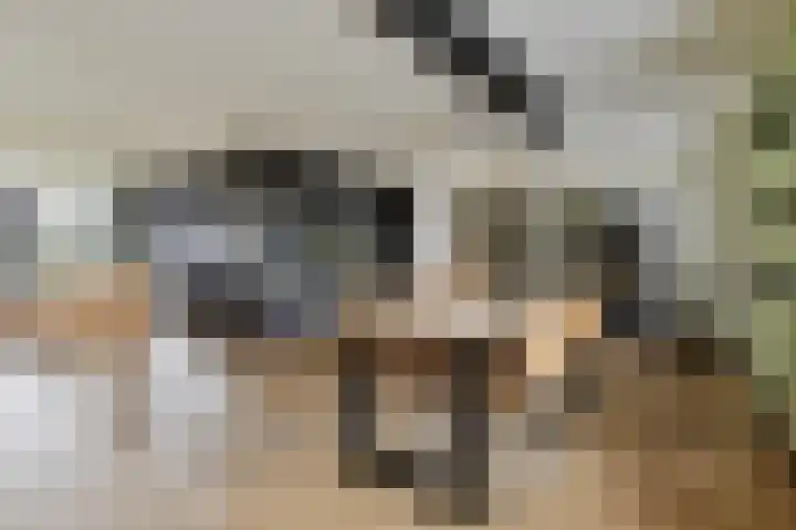 Mauritslaan 42 Best thumbnail 15