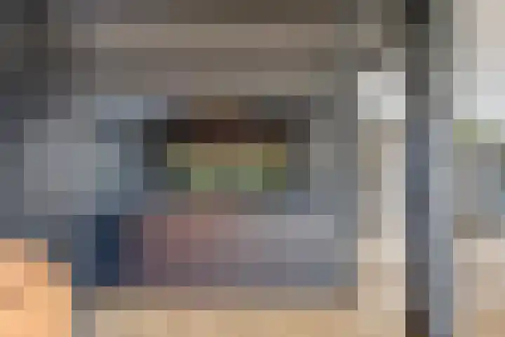 Mauritslaan 42 Best thumbnail 20