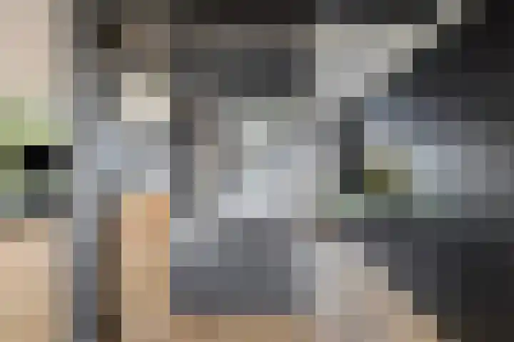 Mauritslaan 42 Best thumbnail 22