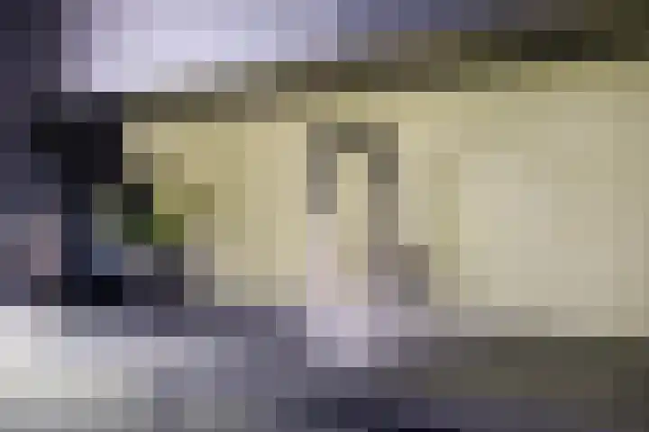 Mauritslaan 42 Best thumbnail 24