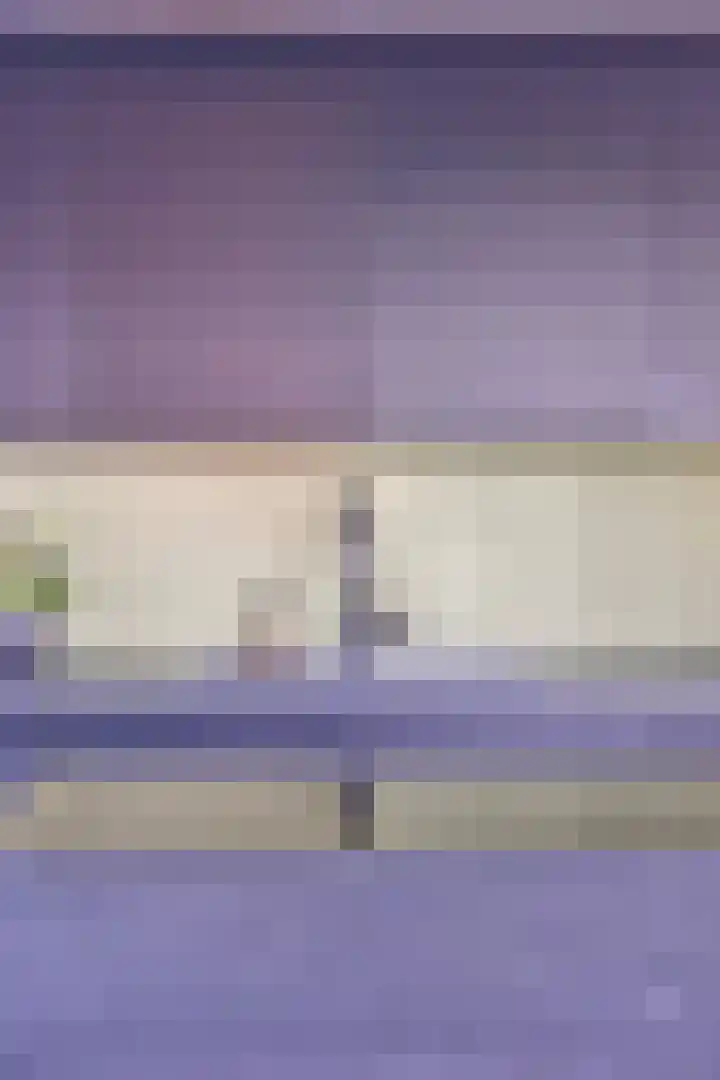 Mauritslaan 42 Best thumbnail 26
