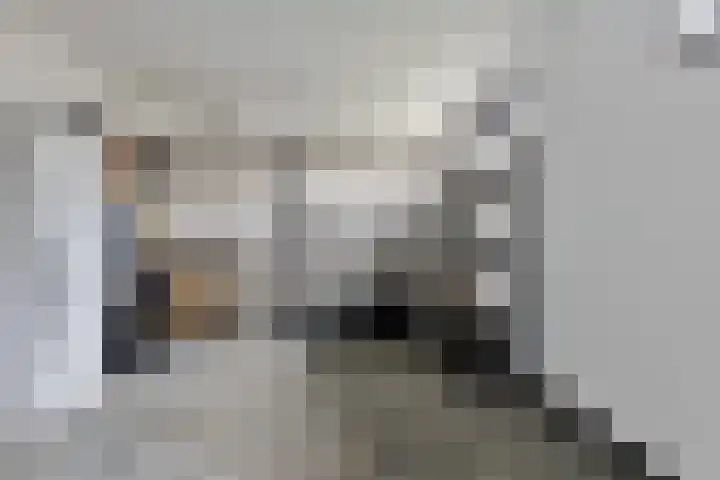 Mauritslaan 42 Best thumbnail 35